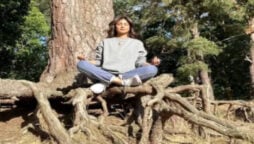 Shilpa Shetty a fitness fanatic practices yoga on a tree