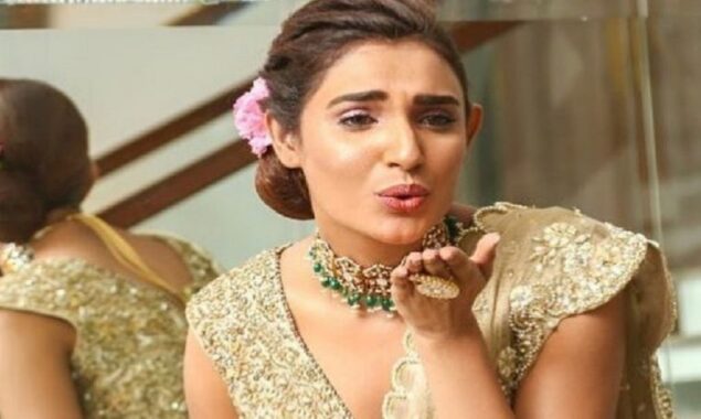 Amna Ilyas receives harsh criticism for a new photoshoot