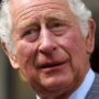 Prince Charles to grant royal titles to Archie, Lilibet despite snubbing Harry