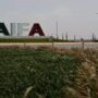 Copa Airlines of Panama provides a boost to Mexico’s new airport