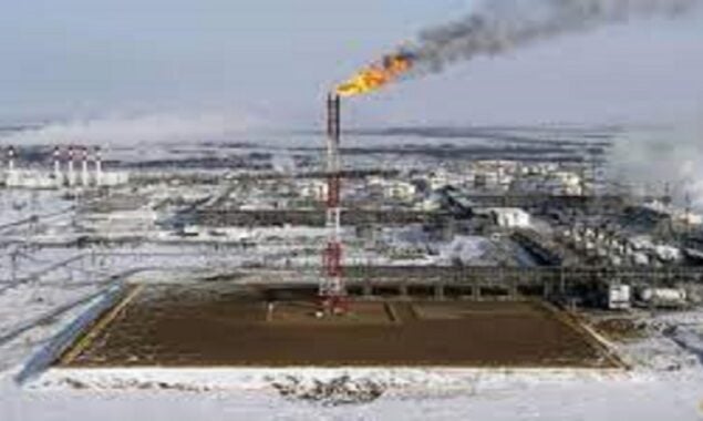 Oil