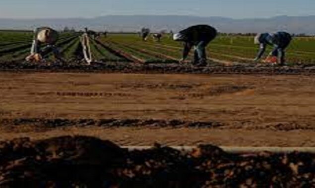 Investors have written to the UN, to reduce agricultural emission