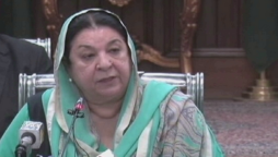 Yasmin Rashid