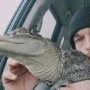 The “hostage” being held is my famous pet alligator from TikTok