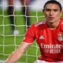 Liverpool and Benfica have agreed an £85 million transfer fee for Uruguay