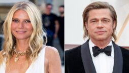 Gwyneth Paltrow and Brad Pitt still ‘love’ one other?