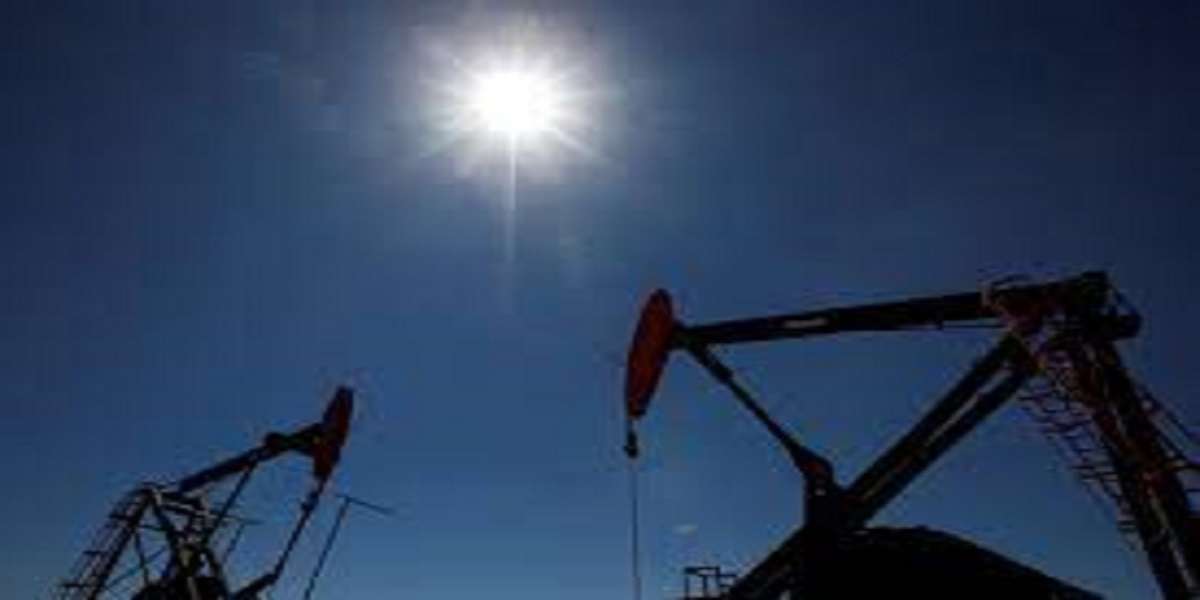 Oil