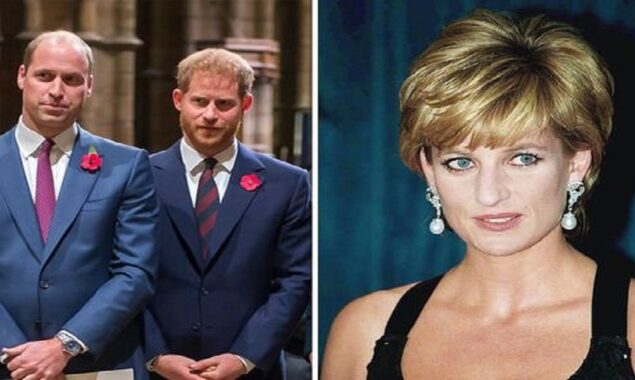 Diana would be appalled by the breakdown between Prince William and Prince Harry, says royal author