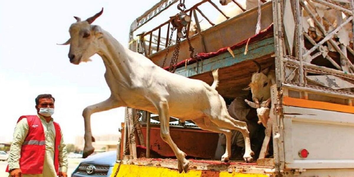 Eid Al Adha