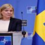 Swedish PM reacts to Nato breakthrough