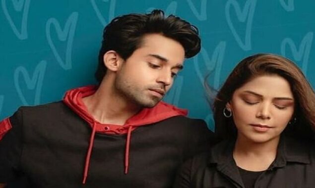 Dobara Fans Are Furious About Cancelling Mahir Due To His Disloyalty