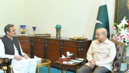 Ameer Haider Khan Hoti called on Prime Minister Shehbaz Sharif.