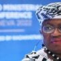 In the midst of a ‘polycrisis,’ the WTO director warns of a bumpy road