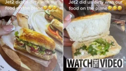 Passenger on Jet2 was startled after receiving an extremely poor dinner during flight
