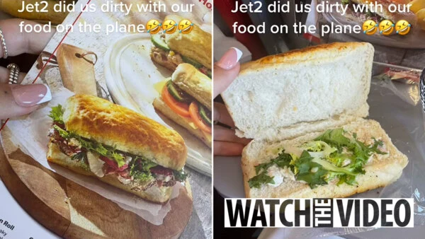 Passenger on Jet2 was startled after receiving an extremely poor dinner during flight