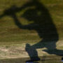 PCB suspends Nadeem Iqbal over misconduct charges
