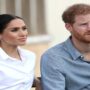 At the Jubilee, Prince Harry and Meghan Markle had a  very cold reunion