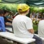 Due to a labour scarcity, All summer camp programmes will be cancelled
