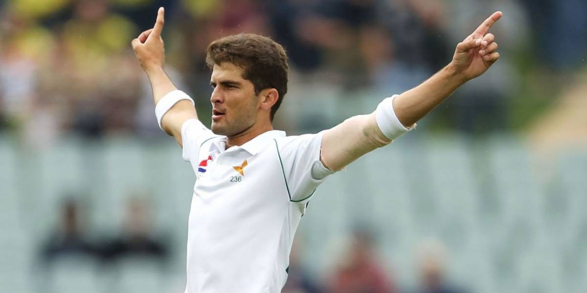 shaheen shah afridi