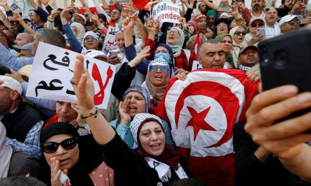 Tunisian protesters decry constitutional reform plans, judicial purge