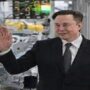 Elon Musk claims the company’s total workforce will expand