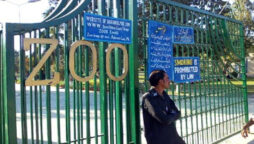 Islamabad Zoo would be transformed into a wildlife sanctuary.