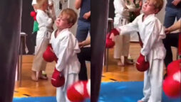 “When your parents force you”: Netzines cannot help but compare to small kickboxer