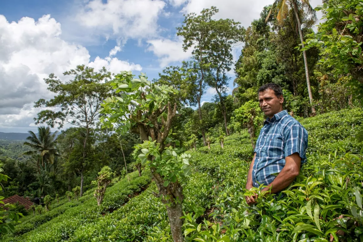 Sri Lanka
