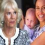 Book hints it was Duchess Camilla who said something “racist” about Archie