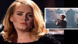 Adele interrupts her performance midway to assist a fan in need