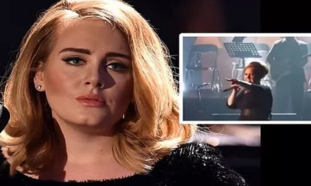 Adele interrupts her performance midway to assist a fan in need