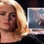 Adele interrupts her performance midway to assist a fan in need