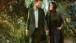 The beautiful garden that Prince Harry and Meghan Markle display, includes a pond and a playground