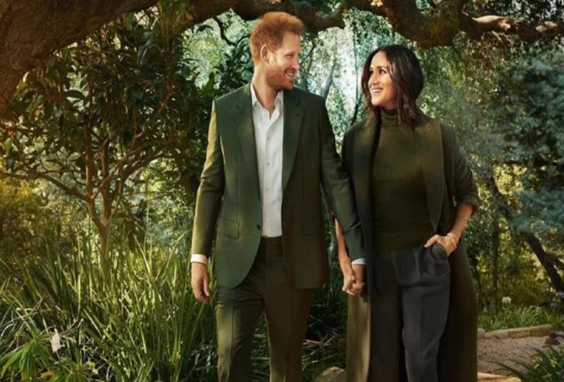 The beautiful garden that Prince Harry and Meghan Markle display, includes a pond and a playground