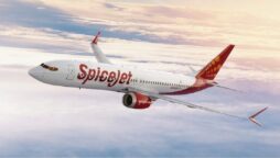 spicejet