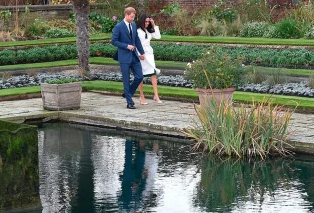 Home garden guidelines for Prince Harry and Meghan Markle disclosed