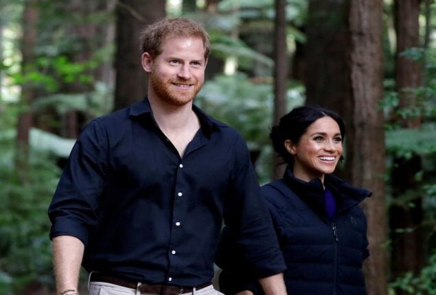 Meghan wanted to become ‘number one royal’ by marrying Prince Harry
