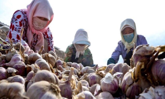 Chinese property developers accept farm produce for homes