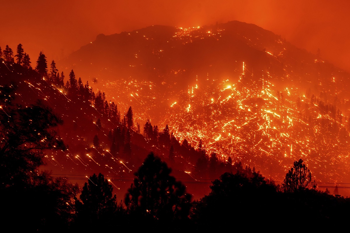 wildfires