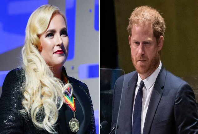 Meghan McCain calls Prince Harry’s speech at the UN “Wildly Insulting” to Americans