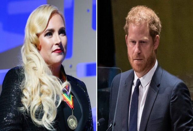 Meghan McCain calls Prince Harry’s speech at the UN “Wildly Insulting” to Americans