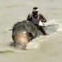 Viral video: Mahout guides elephant to safety as it nearly drowned
