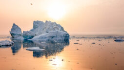 Arctic
