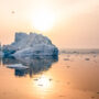 The Arctic is heating up 4x faster than Global warming rates