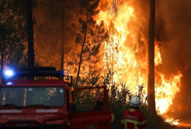 Wildfires spread across heatwave-hit Europe