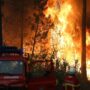 Wildfires spread across heatwave-hit Europe