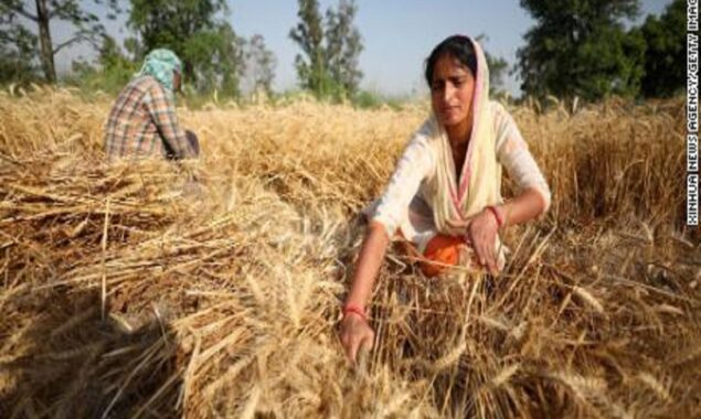India, the world’s largest producer of sugar, is restricting exports
