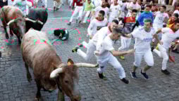 Pamplona, Spain infamous bull run, returns with six injuries