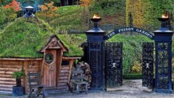 World’s deadliest garden: This English garden contains over 100 lethal toxic plants