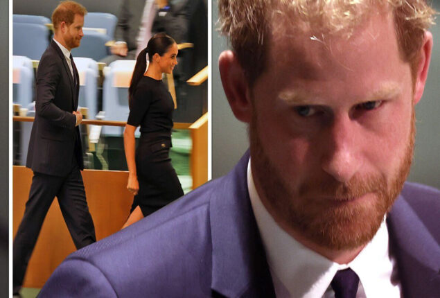 Prince Harry is about to showcase a new “side” of himself, the book reveal